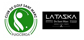 golf+taska copia